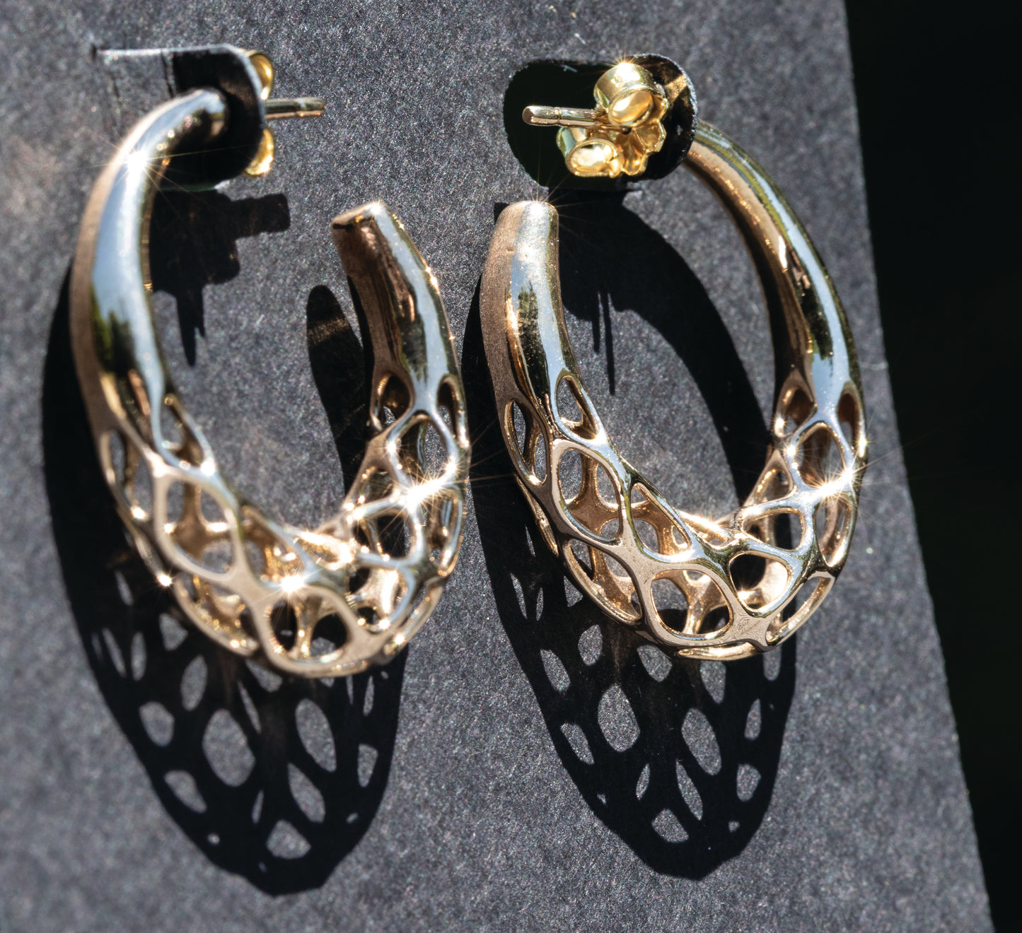 Matrix ear hoop